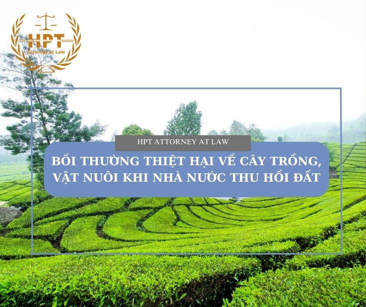 Bồi thường thiệt hại về cây trồng, vật nuôi khi nhà nước thu hồi đất