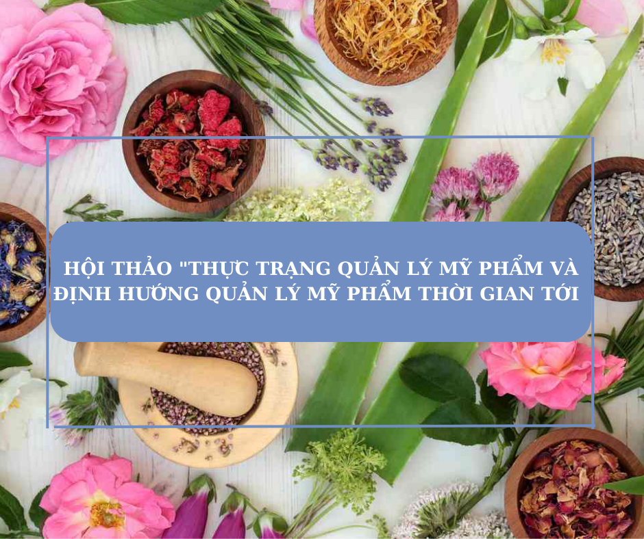 Hội thảo 